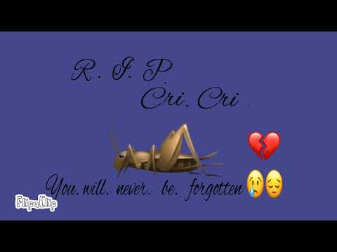 CRI CRI  R.I.P