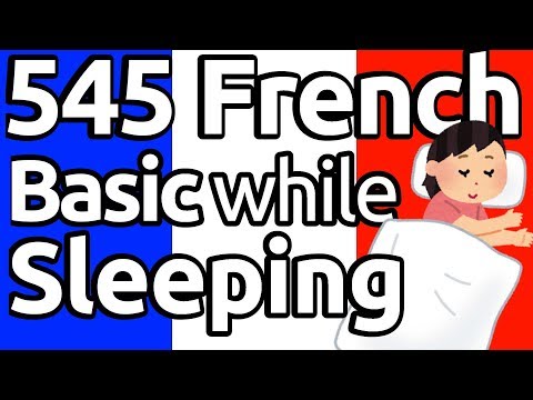 Learn 545 French Basic Vocabs and Phrases while you sleep