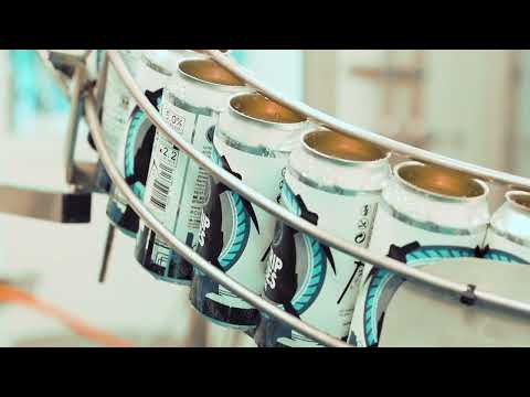 Salt Steel Media Co video.