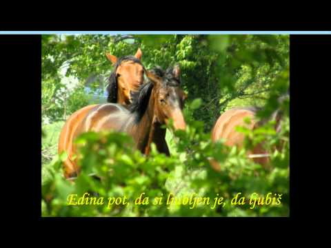 Pregovori o Ljubezni.wmv