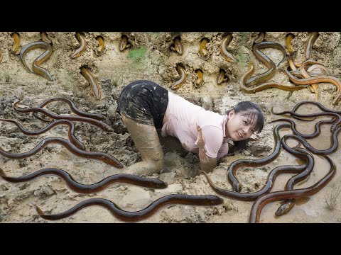 REWIND TIMELAPSE --660 Days Catching A Lot Of Fish, Eels, Mussel, Frogs.../Phương's Story