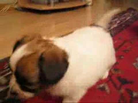 Redigert film/Edited movie