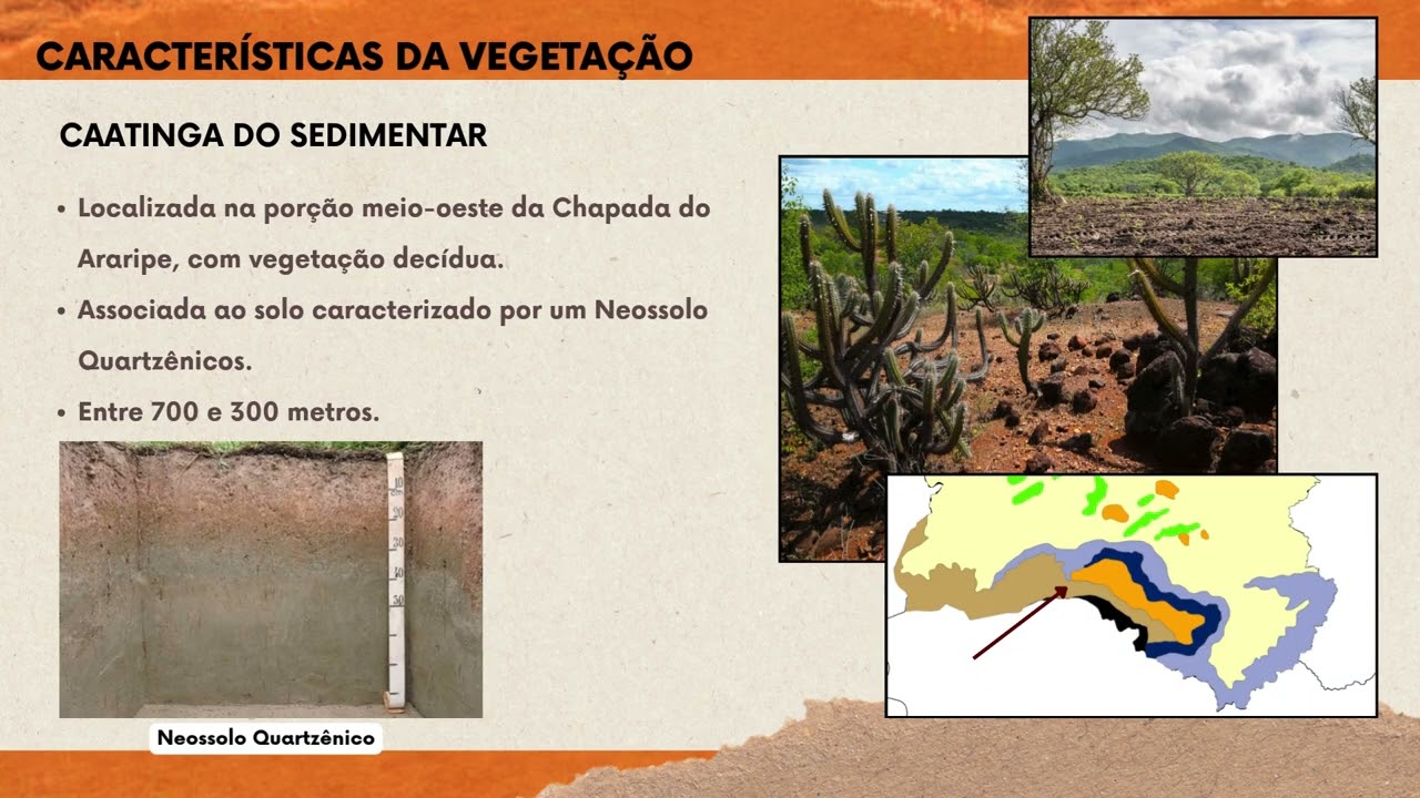 CHAPADA DO ARARIPE - SEMINÁRIO (2024.2)