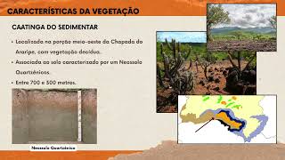 CHAPADA DO ARARIPE - SEMINÁRIO (2024.2)