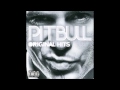 Pitbull - Melting Pot