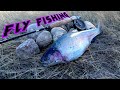 Video Thumbnail for Fly Fishing HUGE RAINBOW Trout!! Saskatchewan INSANE BIG TROUT!