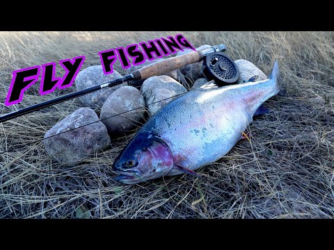 Fly Fishing HUGE RAINBOW Trout!! Saskatchewan INSANE BIG TROUT!