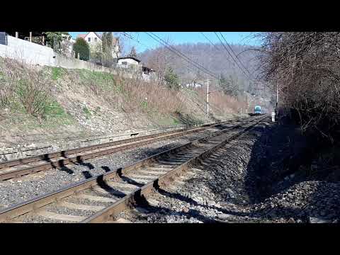 City elefant do Berouna | ČERNOŠICE