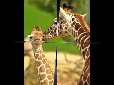 Ahto Juhkam Suudle mind armsaim