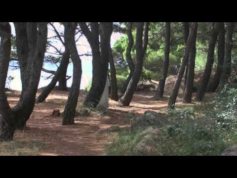 jsi krásne šílena