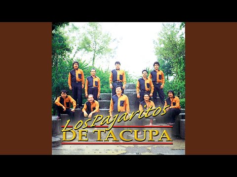 Caminos de Michoacan