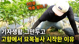 나무를 키우는 농사는 얼마나 벌 수 있을까? 기자생활 관두고 귀농한 '진짜' 이유 [묘목농사] 어나농 2부.…