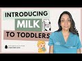 Milk Transition Success What Parents Must Know