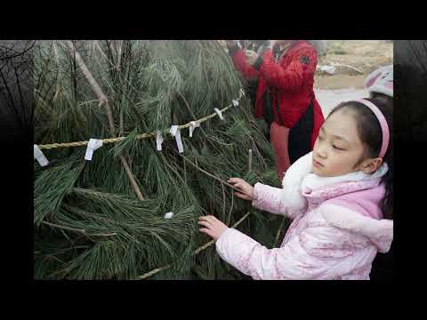 한국민속촌 정월대보름 행사