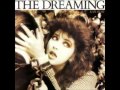 Kate Bush Night Of The Swallow