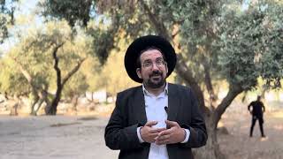 לשמור כל מצוותיו | הרב אליהו ובר (ישיבת הר הבית) - התמונה מוצגת ישירות מתוך אתר האינטרנט יוטיוב. זכויות היוצרים בתמונה שייכות ליוצרה. קישור קרדיט למקור התוכן נמצא בתוך דף הסרטון לשמור כל מצוותיו | הרב אליהו ובר (ישיבת הר הבית) - התמונה מוצגת ישירות מתוך אתר האינטרנט יוטיוב. זכויות היוצרים בתמונה שייכות ליוצרה. קישור קרדיט למקור התוכן נמצא בתוך דף הסרטון