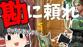 [VALORANT]結局は経験が物を言うんだよ！！[ゆっくり実況]part1
