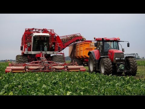 Bietenoogst met oa. Agrifac Hexa 12r. Loonb.Feunekes & Speelman Blijham / Wedde.