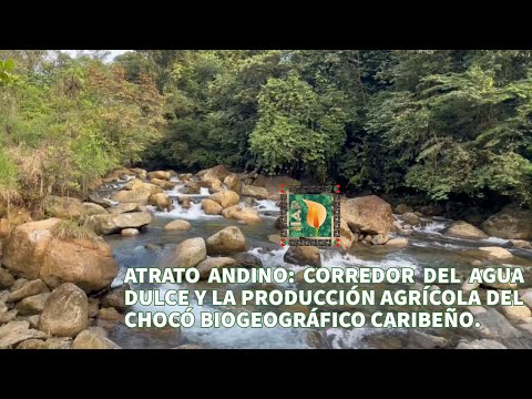 Atrato Andino: Corredor del agua dulce y la producción agrícola del Chocó Biogeográfico Caribeño.