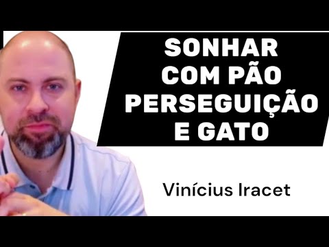 SONHAR COM PÃO, PERSEGUIÇÃO E GATO 