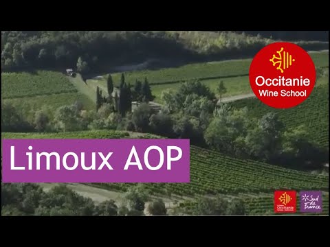 Mini masterclass #1: Limoux AOP – Occitanie Wine School