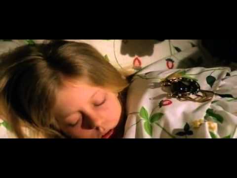 Manhattan Baby (Lucio Fulci) part 5