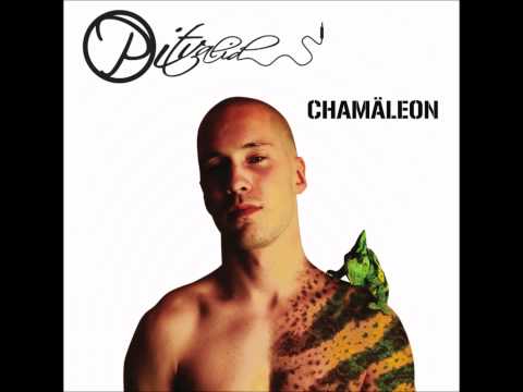 04 - Pitvalid - Chamäleon - Das E.X.T.R.A.K.T
