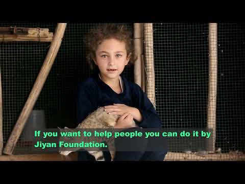 Support Families and Animals at the Healing Garden