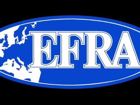 EFRA EC 1/8th IC On Road Eskilstuna  (Sweden)