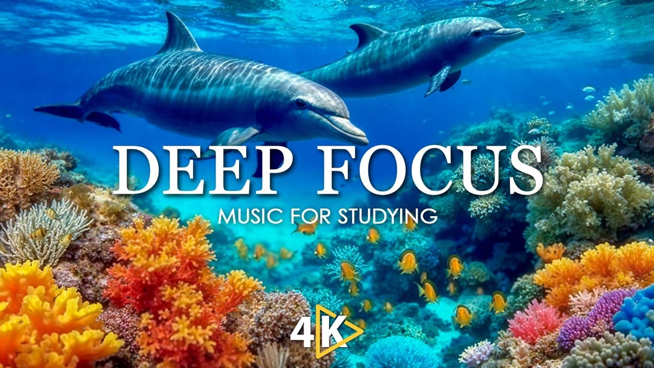 Focus Music for Work and Studying, Background Music for Concentration, Study Music #23