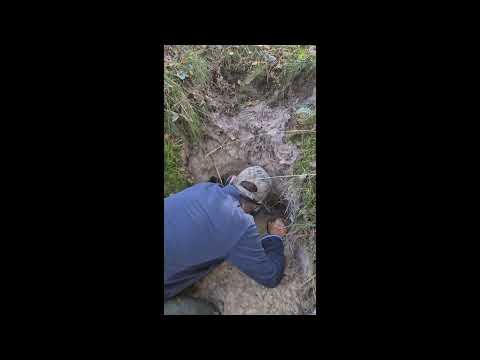 Wykopki Gdańskie, najlepsze znaleziska, prawdziwe historie. Zaprasza Salamandra Norek i Kret