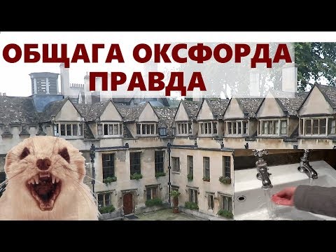 Ужасы общежития Оксфорда / Вся правда про общагу Оксфордского Университета