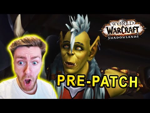Classic WoW Player Tries Shadowlands Pre-Patch for the Day