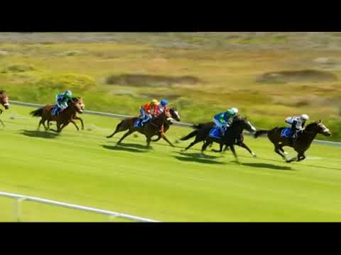 2021.12.04  Cape Summer Stayers Handicap (RSA) - Crome Yellow