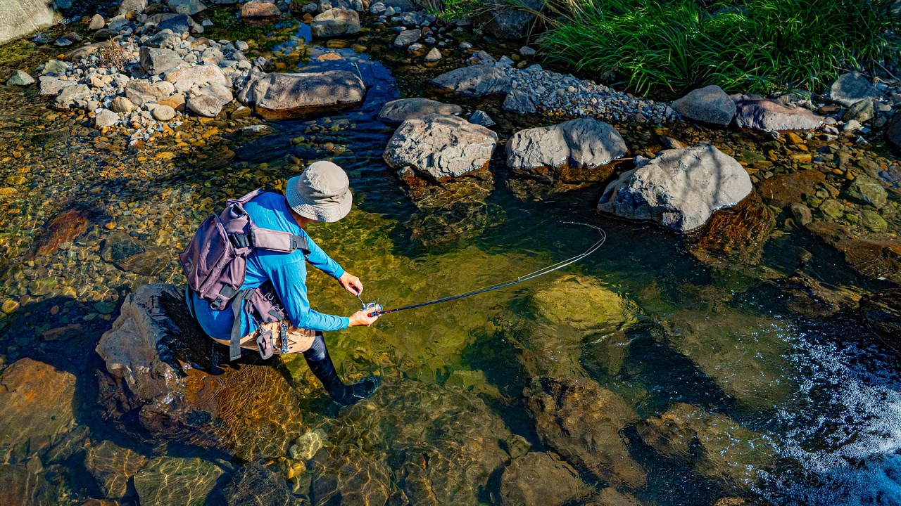 The Boss Fish Is Lurking Beneath The Rocks In This River