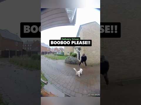 When a Normal Delivery Takes an Unexpected Turn