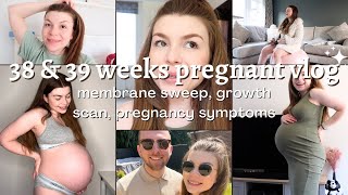 I got a membrane sweep, new pregnancy symptoms and updates | 38 & 39 weeks pregnancy vlog