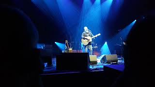 Steve Earle - I Ain&#39;t Ever Satisfied (Live at Bluesfest Melbourne (09/04/23)