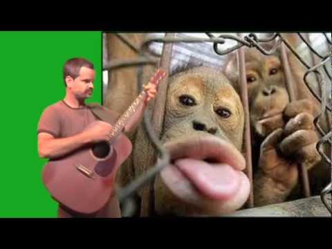 Five Little Monkeys - Jeff Jam