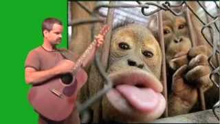 Five Little Monkeys - Jeff Jam