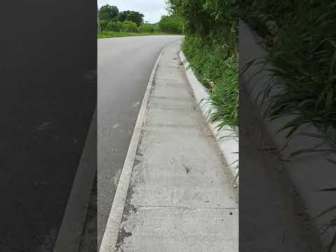 Est  23 Agosto 2025 CUNETAS