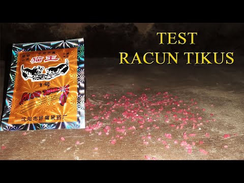 Racun tikus MAO WANG