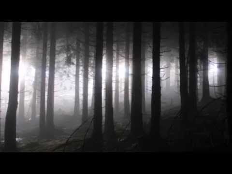 Lauf soweit bis du vergessen hast, dass es noch mich gibt.