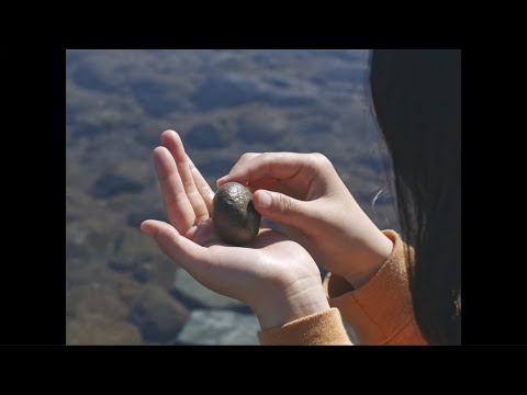 映画『石がある』予告編 long ver.｜2024年9月6日（金）より全国順次公開