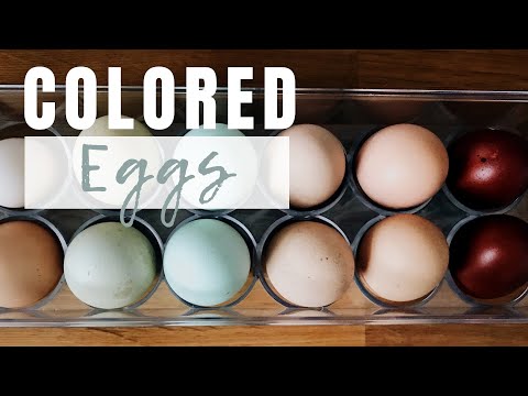 , title : 'Chicken Breeds That Lay Colored Eggs | A Look Inside our Egg Basket'