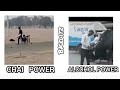 Chai Power VS Alcohol Power BKeditz