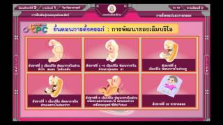 สื่อการเรียนการสอน การตั้งครรภ์และการคลอดม.3วิทยาศาสตร์