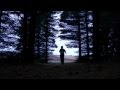 Panda Bear ~ I'm Not Cold