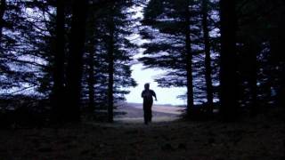 Panda Bear ~ I&#39;m Not Cold