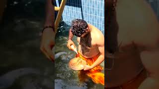 Swamiye saranam ayyappa #gottigereayyappatemple